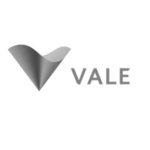 vale-videoshack-289x300